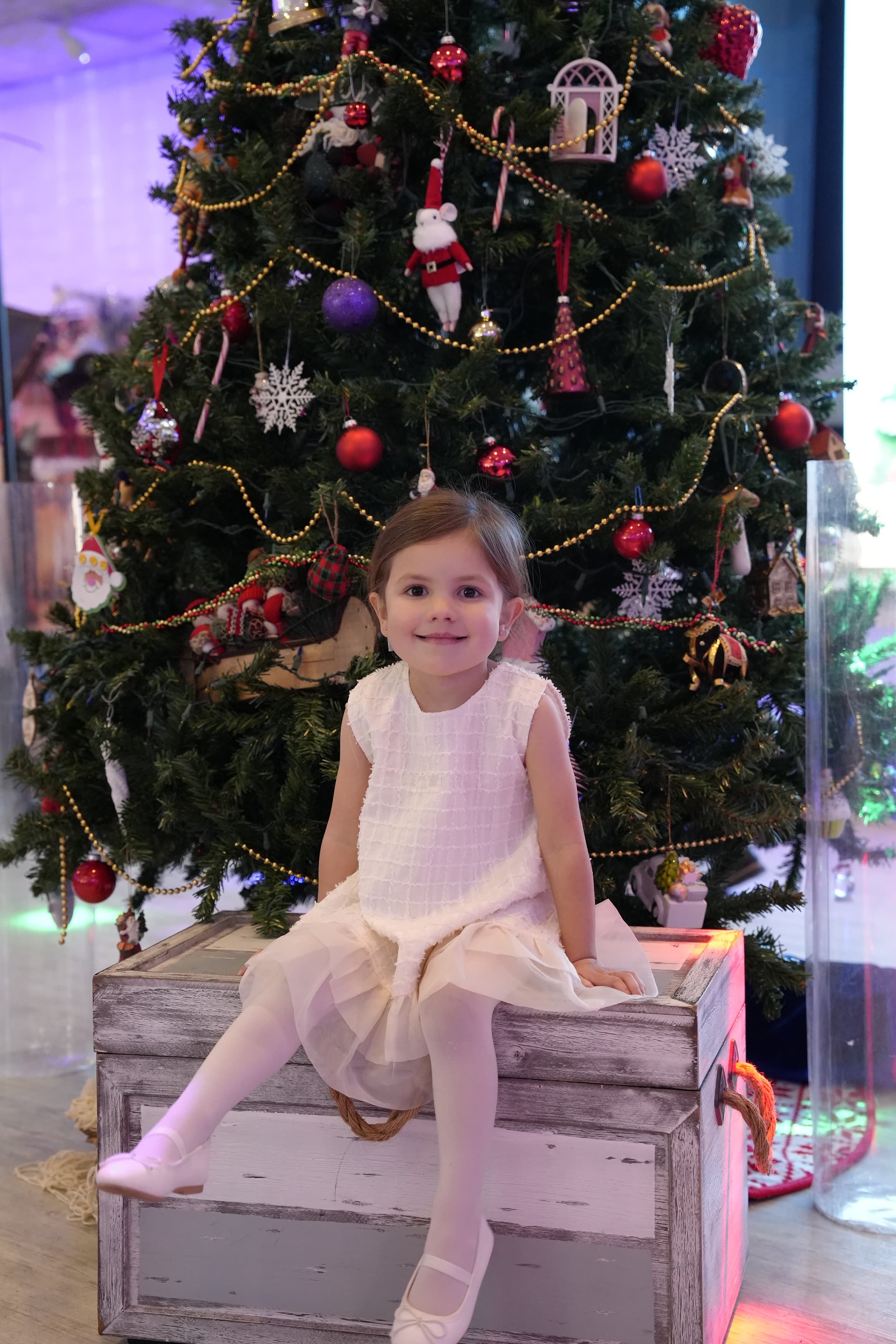 Детская Новогодняя Ёлка 2026